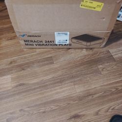 Mini Vibration Plate