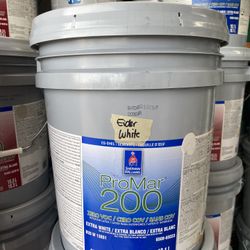 Pintura Y Material • Paint Paint 🎨 🪣 