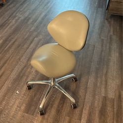 Ergonomic Back Support Chair 