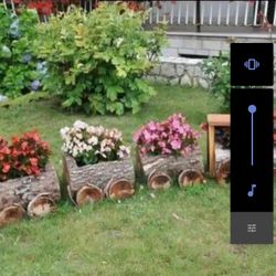 Real Tree Train Sets 