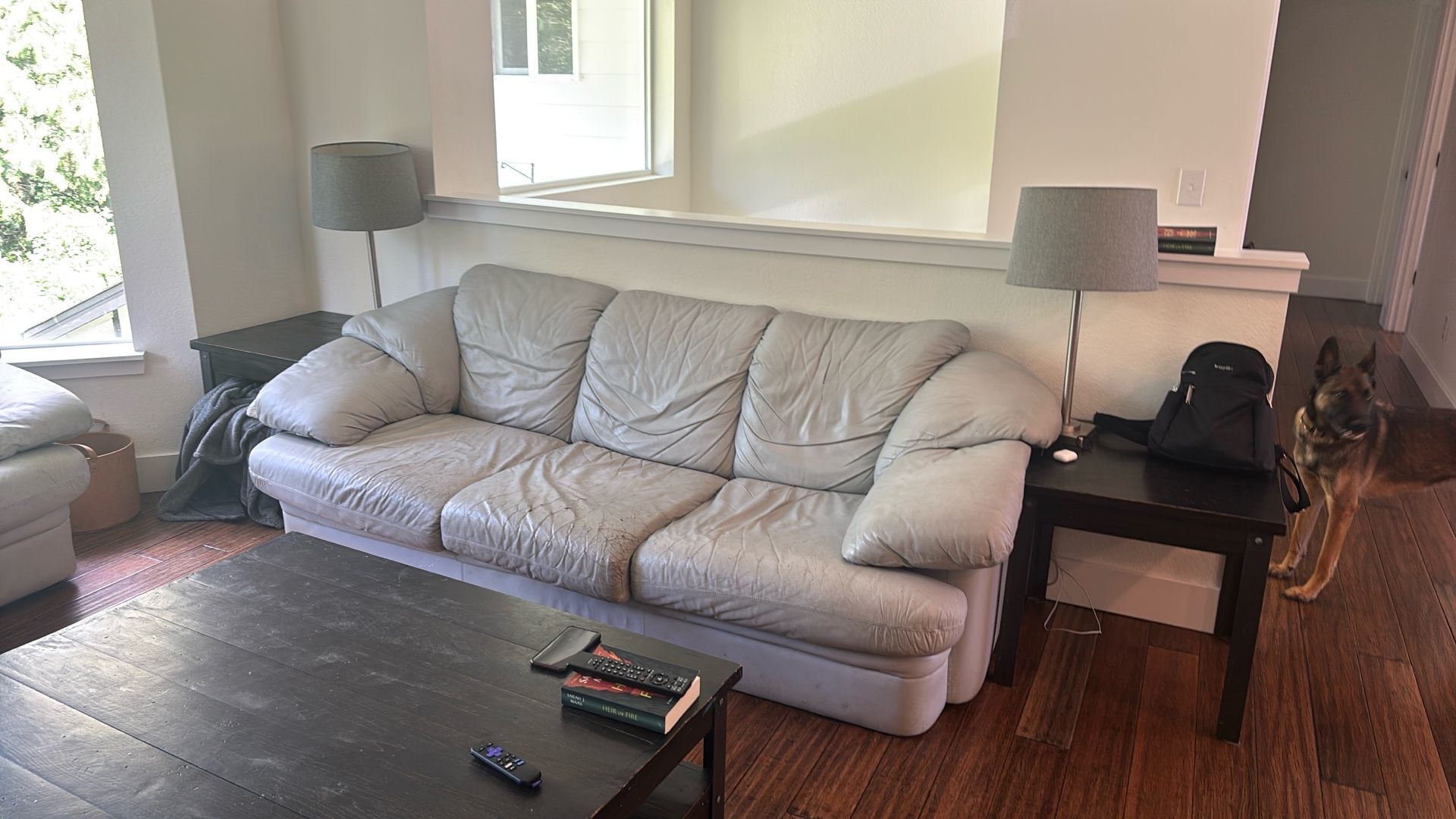 Grey Couches,