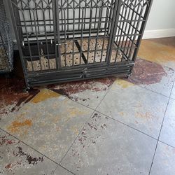 Dog Cage