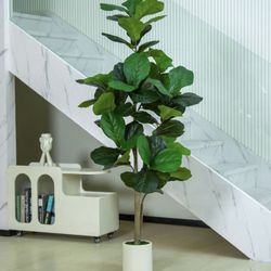 Pretty Artificial Plant Fig Tree 5 Ft Tall with White Planter ! Brand New 
