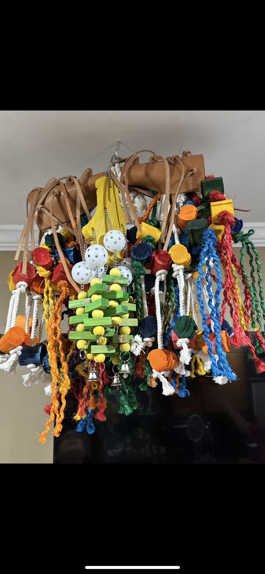 Bird Toys