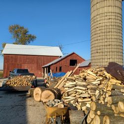 Firewood 
