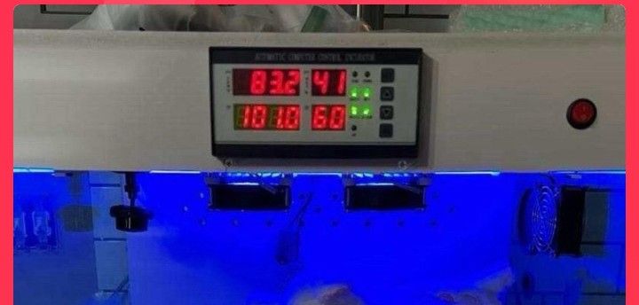 Kitten Warmer Incubator