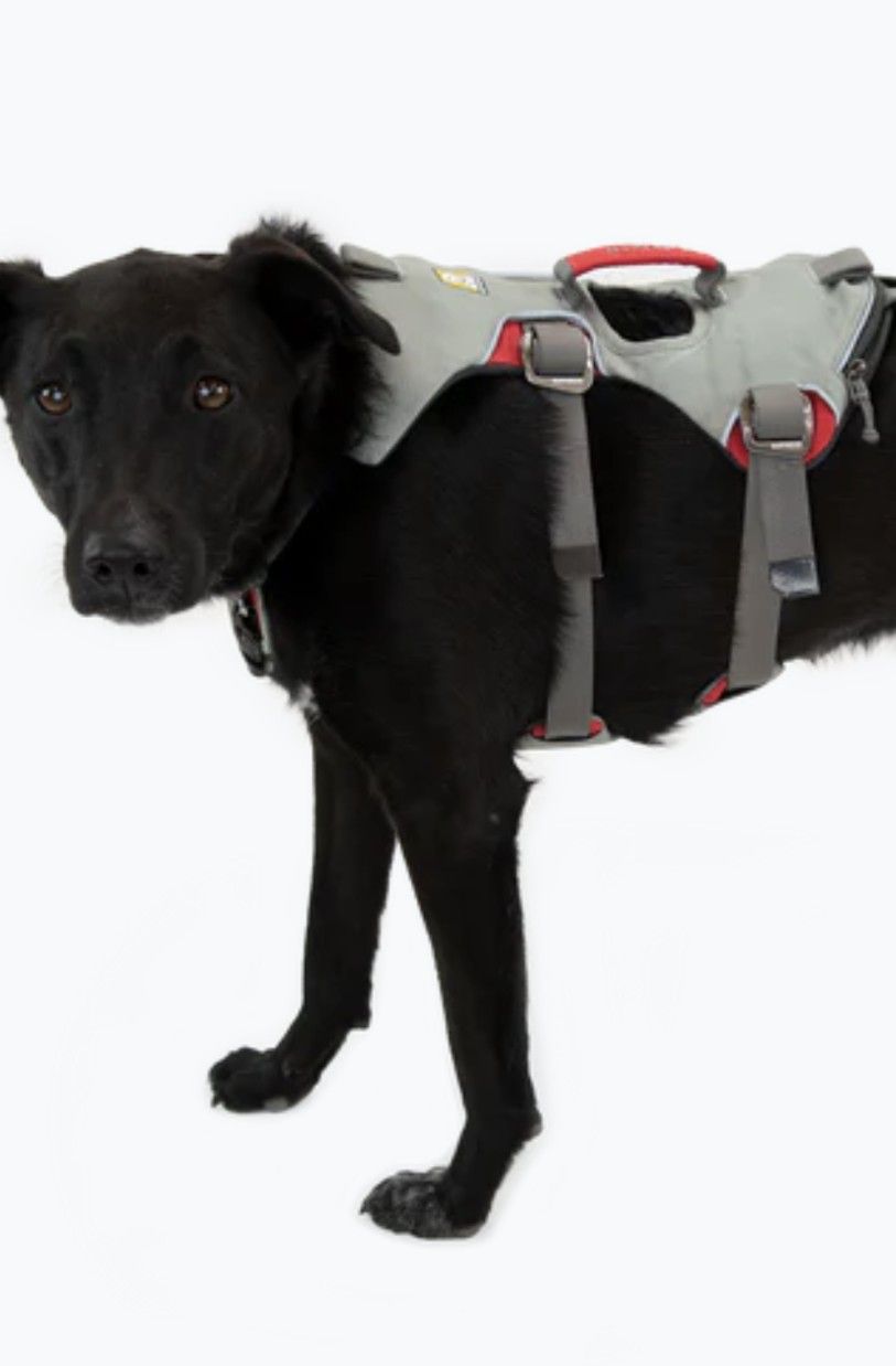 Ruffwear Double Back Full Body Safety Harness L/XL