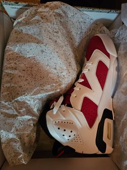 Jordan Retro 6 "CARMINE" SZ 9.5