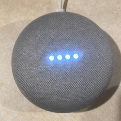 Google Nest Mini
