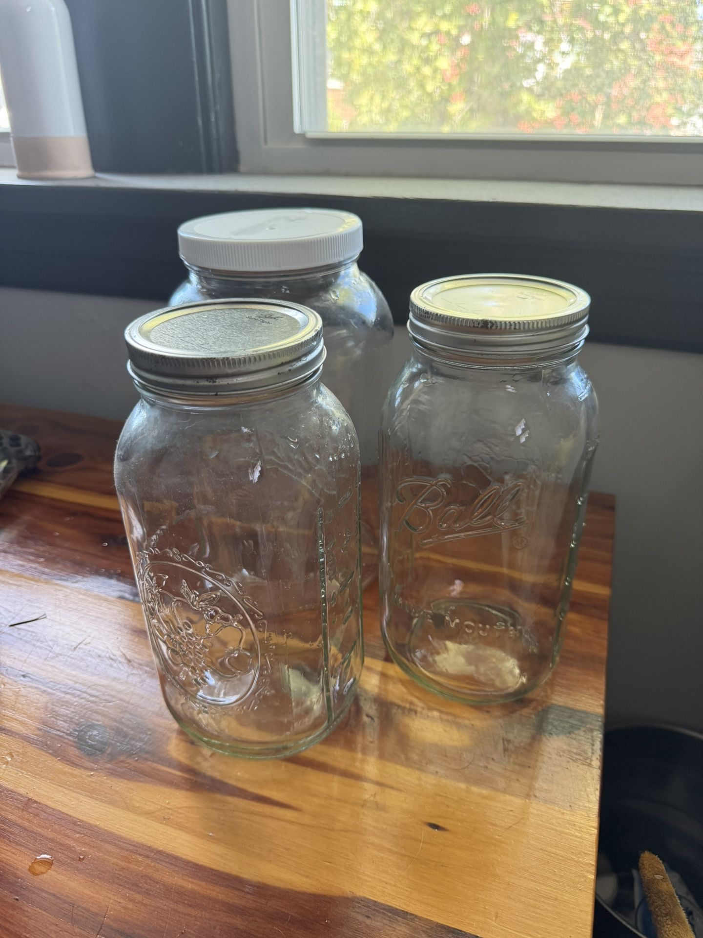 Ball Canning Jars And Gallon Jar