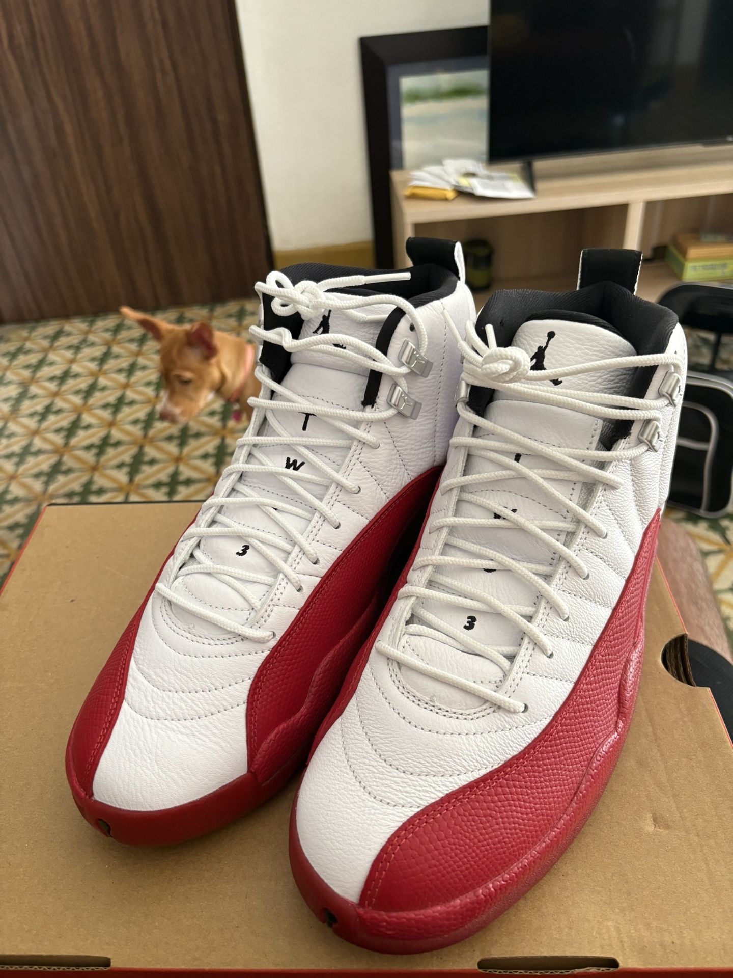 Cherry red 12s Men’s Size 12