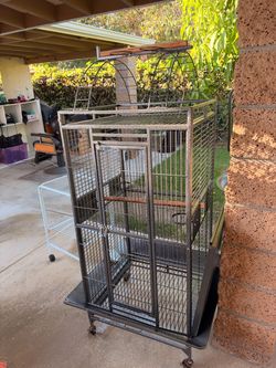 Bird cage