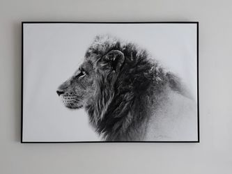 Beautiful big picture 47/32,5”
