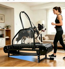 Large Dog Treadmill