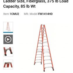 Louisville 14' Ladder