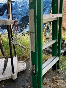 6 ft gorilla ladder