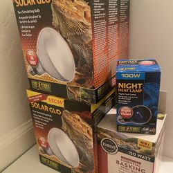 Exo Terra Reptile Light Bulbs 