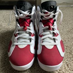 Jordan Carmines 6s Size 11