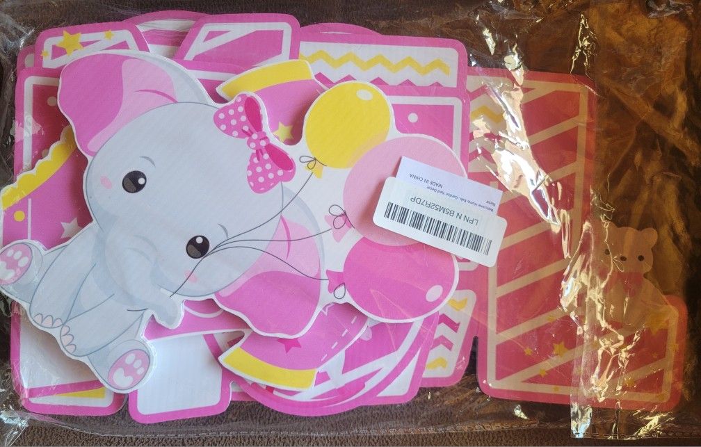 Welcome Home Babygirl Decor