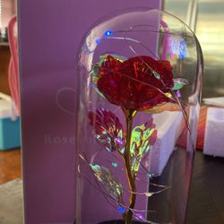 Rose of Love Light Up Galaxy Red Rose