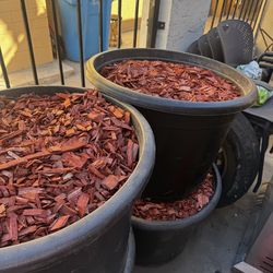 Red wood chips/bark