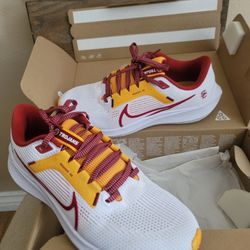 Nike Zoom Pegasus 40 USC