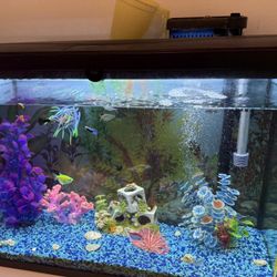 Top Fin Essentials Aquarium Kit 29 Gal