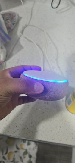 Echo