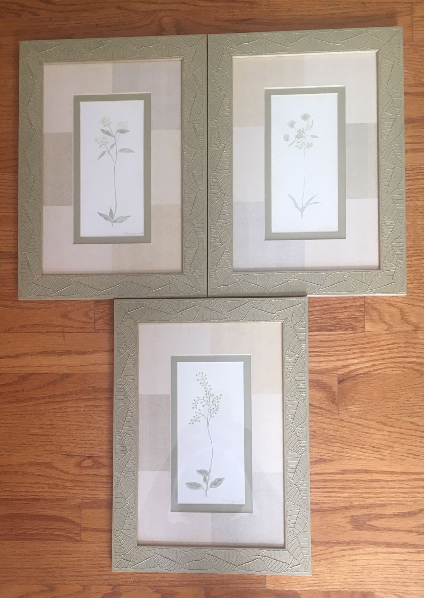 3 Framed Botanical Pictures