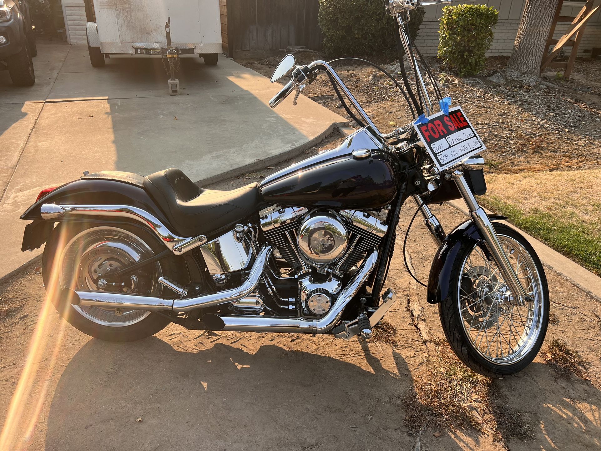 Harley 2001