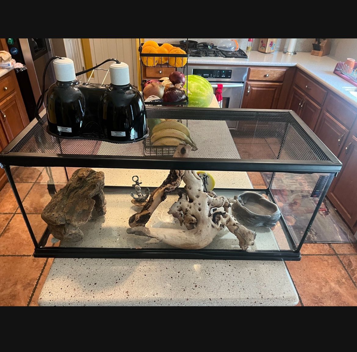 20 Gallon Tank With Everything Included