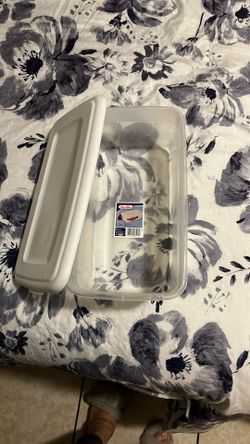 Sterilite 6 Qt Containers