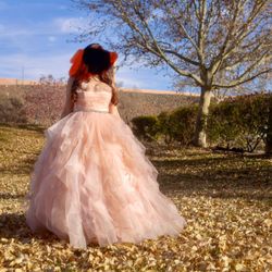 Quinceanera/ Sweet 16 Dress