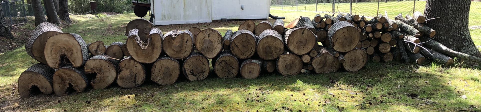 Free wood! Cut/ready To Load  (S. Prince George, VA)