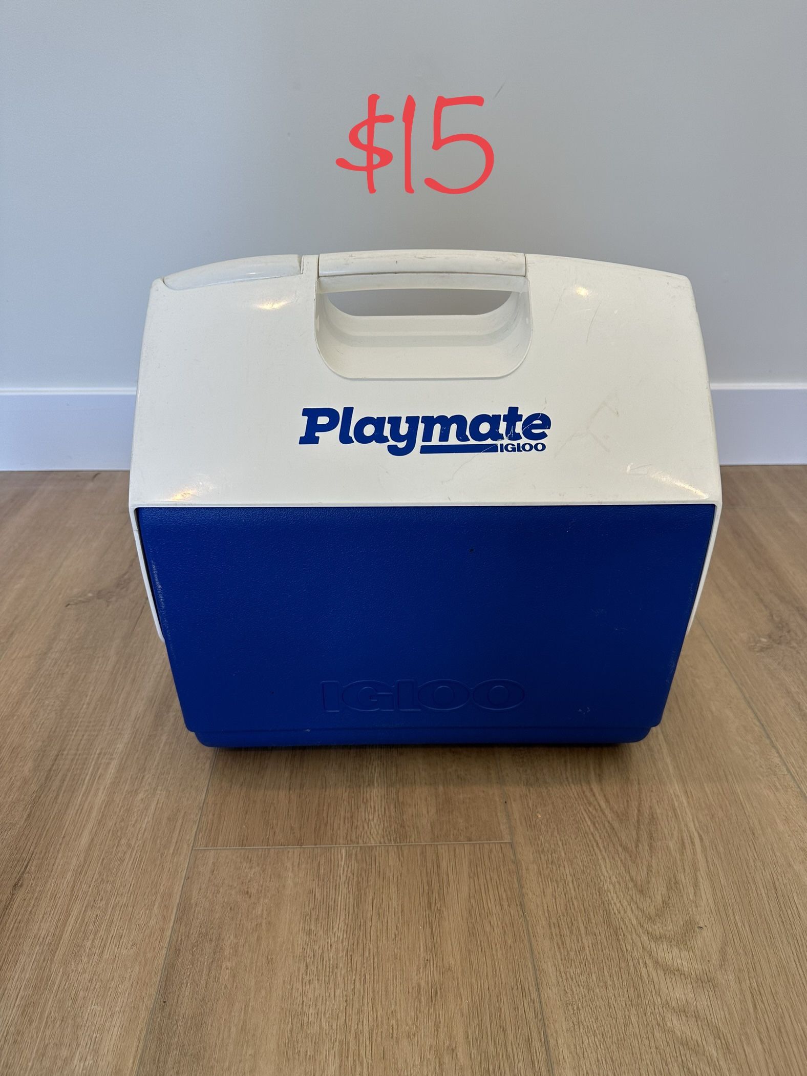 Igloo Playmate Coolers in Igloo Coolers