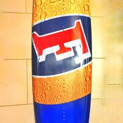 OBRIEN Wake Board