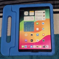 iPad Pro 1st Gen 256gb Cellular