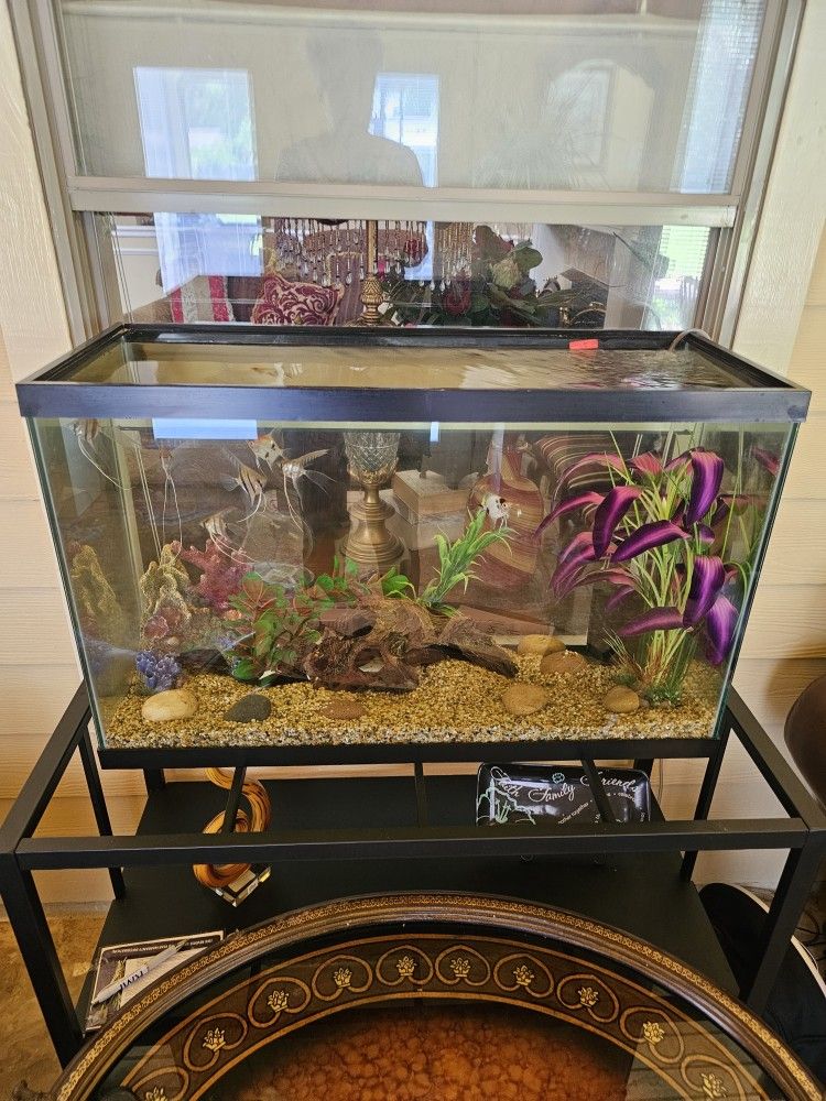 30 gallon fish aquarium