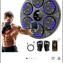LOLBOX 2024 Music Boxing Machine, Smart Bluetooth Boxing Trainer 