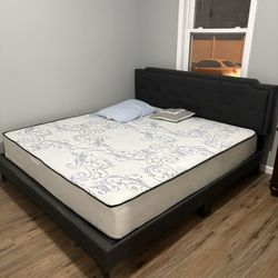 King Size Bed- Must Go Today