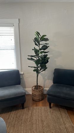 Decorative Tree & Rattan Basket
