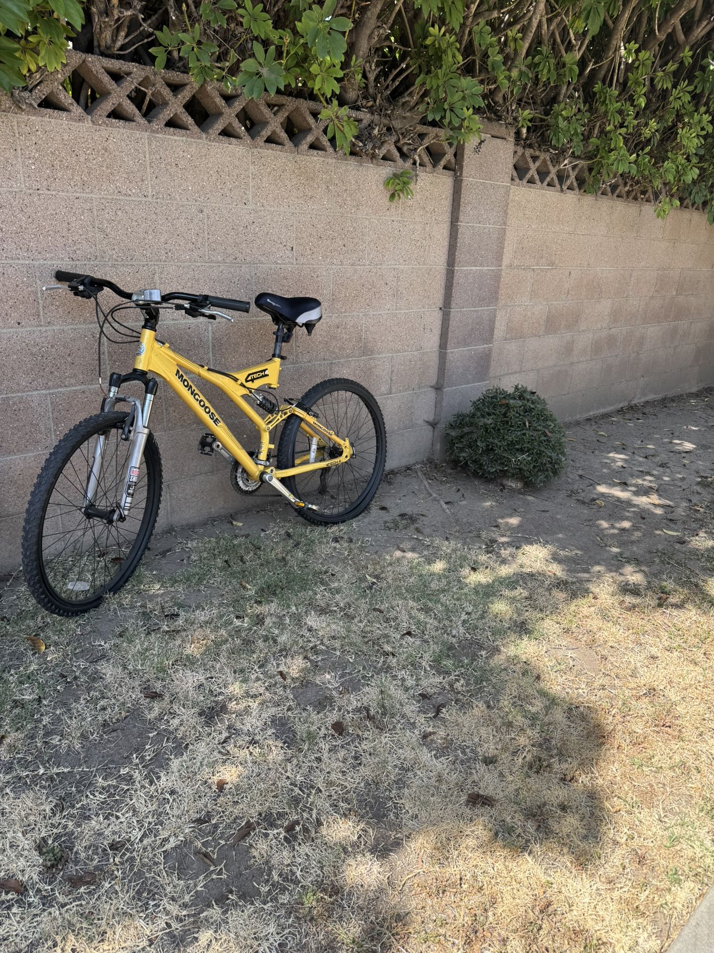 Mongoose