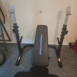 Pro-form Bench, Squat, And Legs 