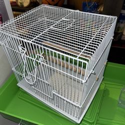Brand new buggie parakeet cage With food and treats 