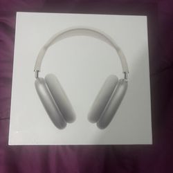 Air pod max