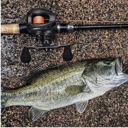 Piscifun Torrent II Baitcasting Fishing Reel, 20LB Carbon Fiber Drag Baitcasters, 6.6:1/8.1:1 Gear Ratio & Magnet Braking System Low Profile Casting R