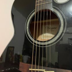 Takamine G Series 