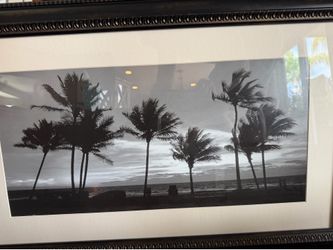 Picture of palm trees