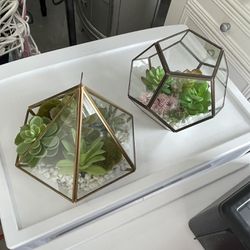 Brand New Terrarium with Faux Plants