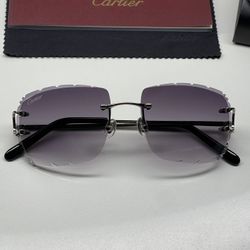 Silver Cartier Big C Sunglasses Buffalo Horn Glasses